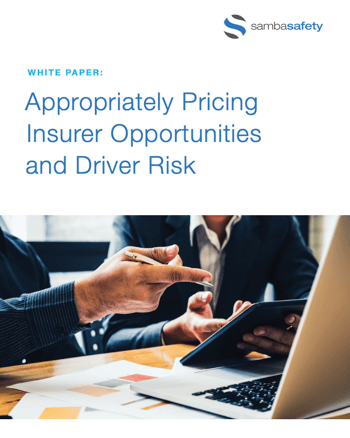 Price Insurer Opportunities and Driver Risk 