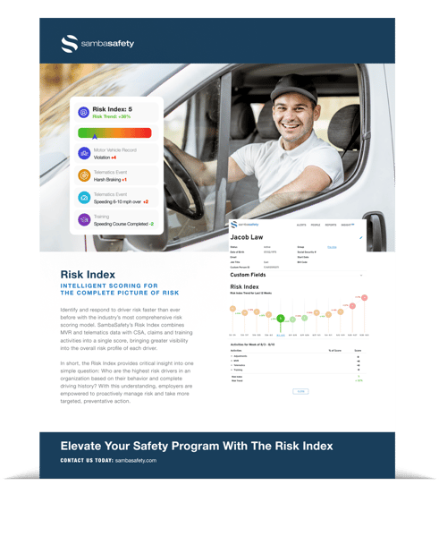 Risk-Index-One-Sheet-Thumbnail