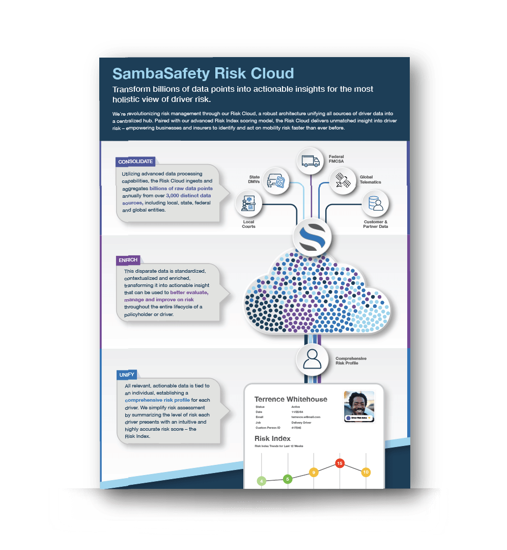 SS_RiskCloud Infographic_Thumbnail_v2-min