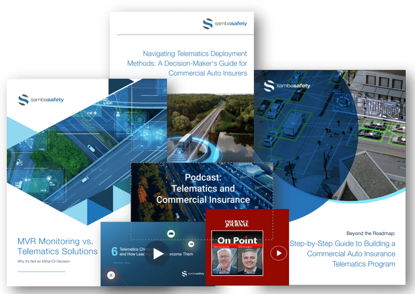 Access SambaSafety's Telematics Hub