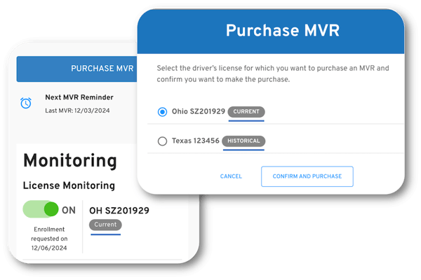 license-category-purchase-mvr-product-image license-category-purchase-mvr-product-image