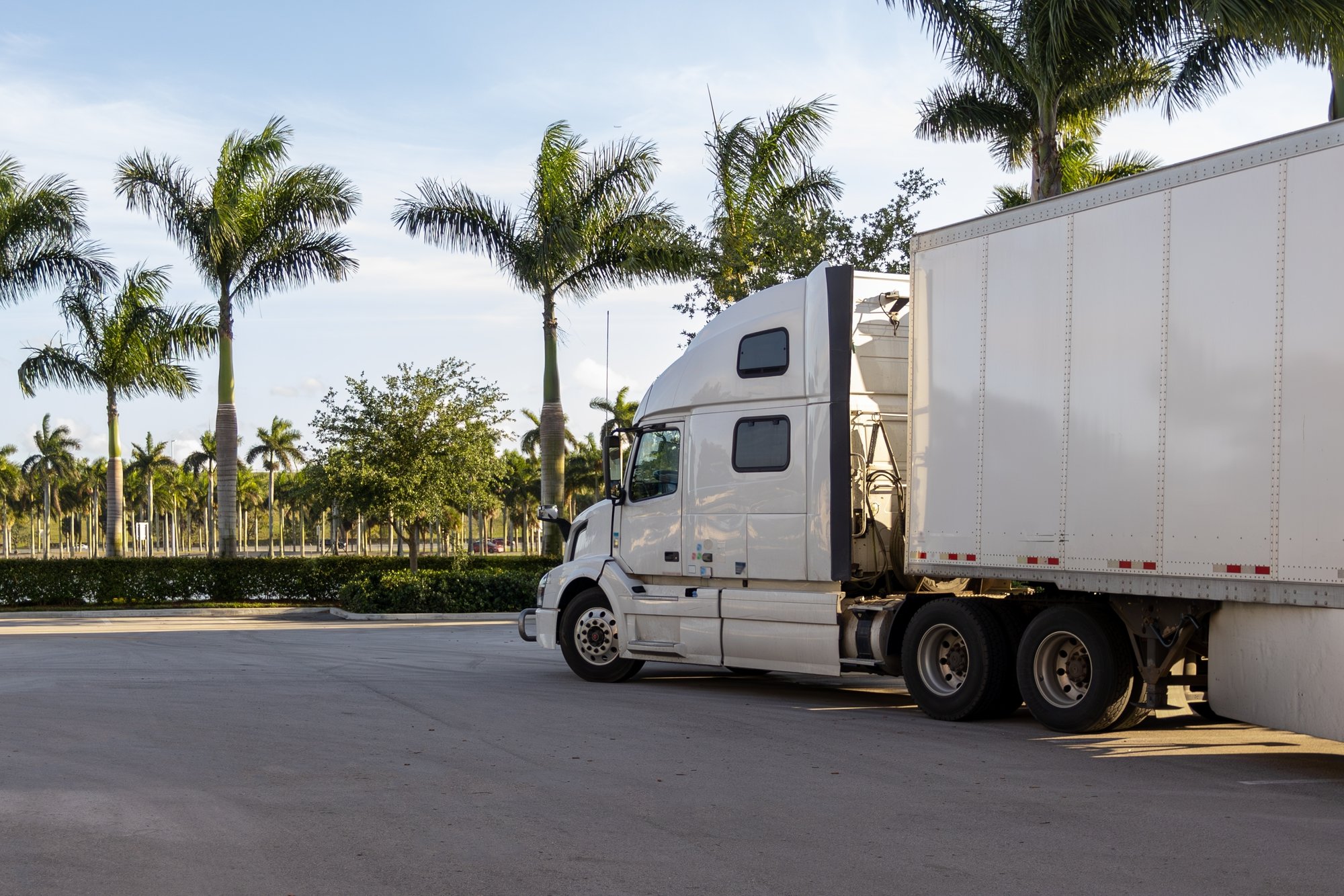 shutterstock_2306657219